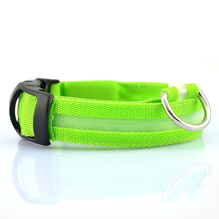 USB Rechargeable LED Dog Collar – High Visibility Safety Collar for Night Walks (Adjustable & Waterproof Design)