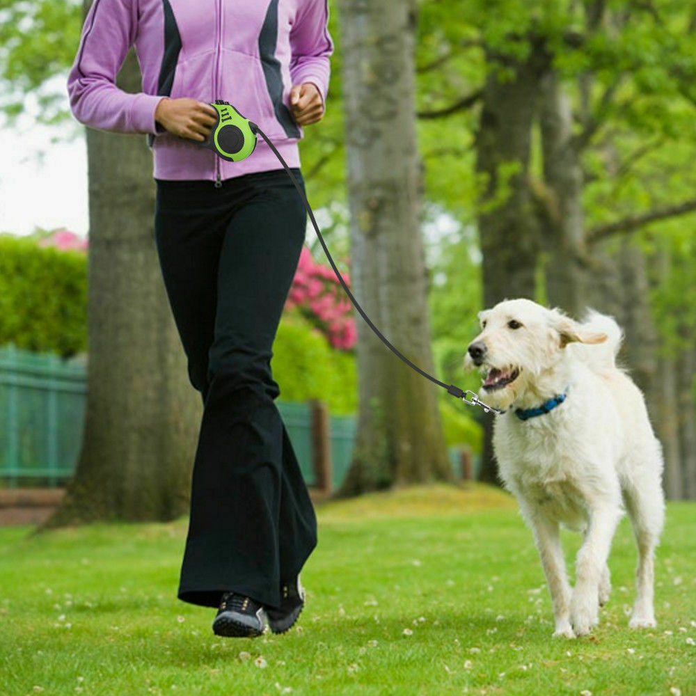 16ft Retractable Dog Leash – Automatic Adjustable Lead with Brake & Lock System (Durable, Tangle-Free & Comfortable Grip)