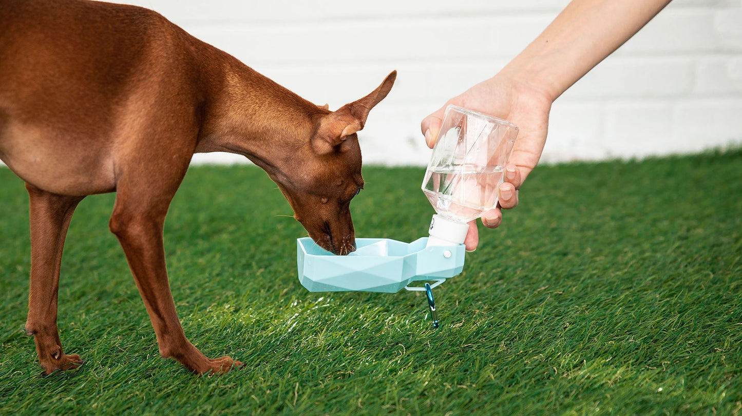 Portable Dog Water Bottle with Foldable Bowl – Leak-Proof Travel Hydration for Pets (Clip-On Design)