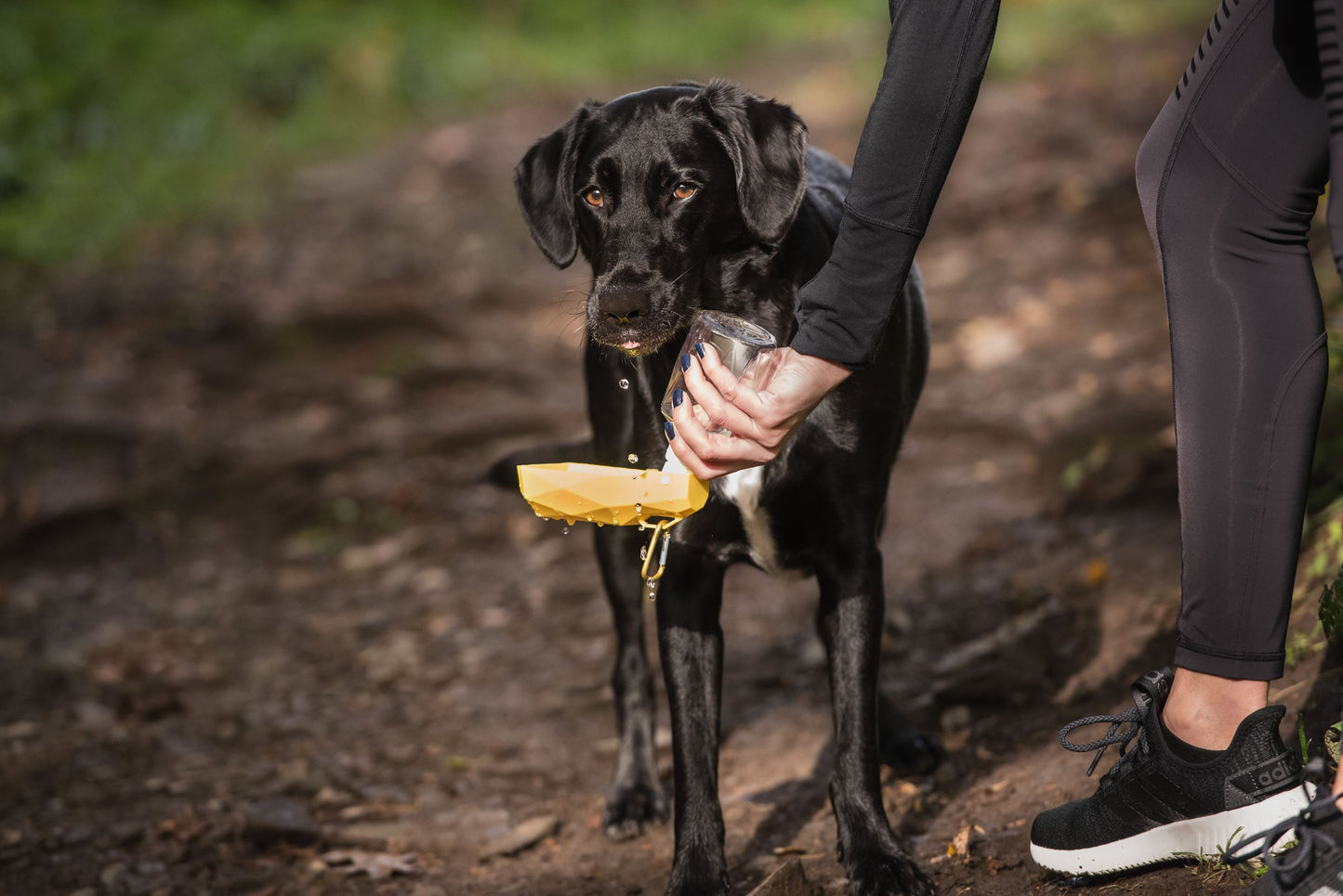 Portable Dog Water Bottle with Foldable Bowl – Leak-Proof Travel Hydration for Pets (Clip-On Design)