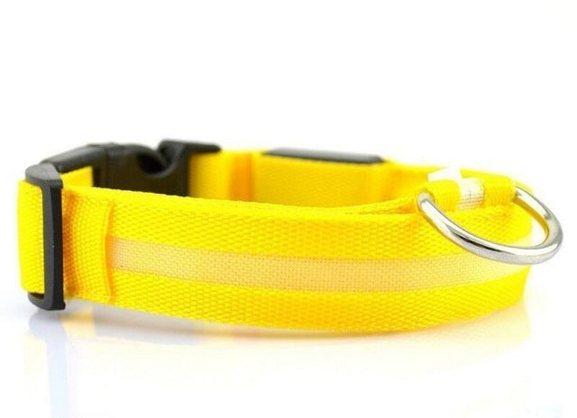 USB Rechargeable LED Dog Collar – High Visibility Safety Collar for Night Walks (Adjustable & Waterproof Design)