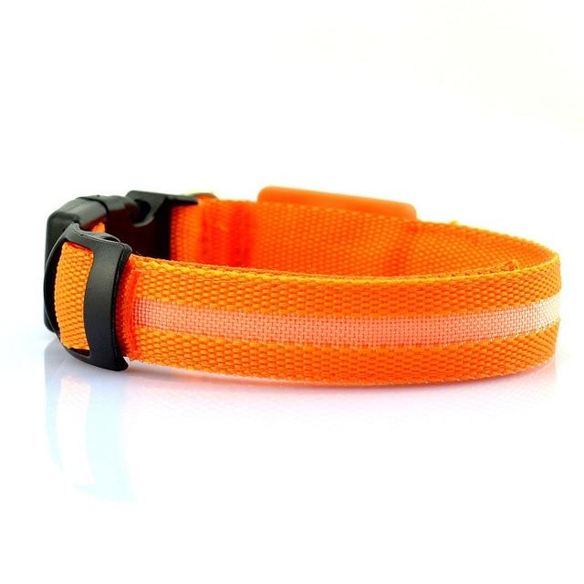 USB Rechargeable LED Dog Collar – High Visibility Safety Collar for Night Walks (Adjustable & Waterproof Design)