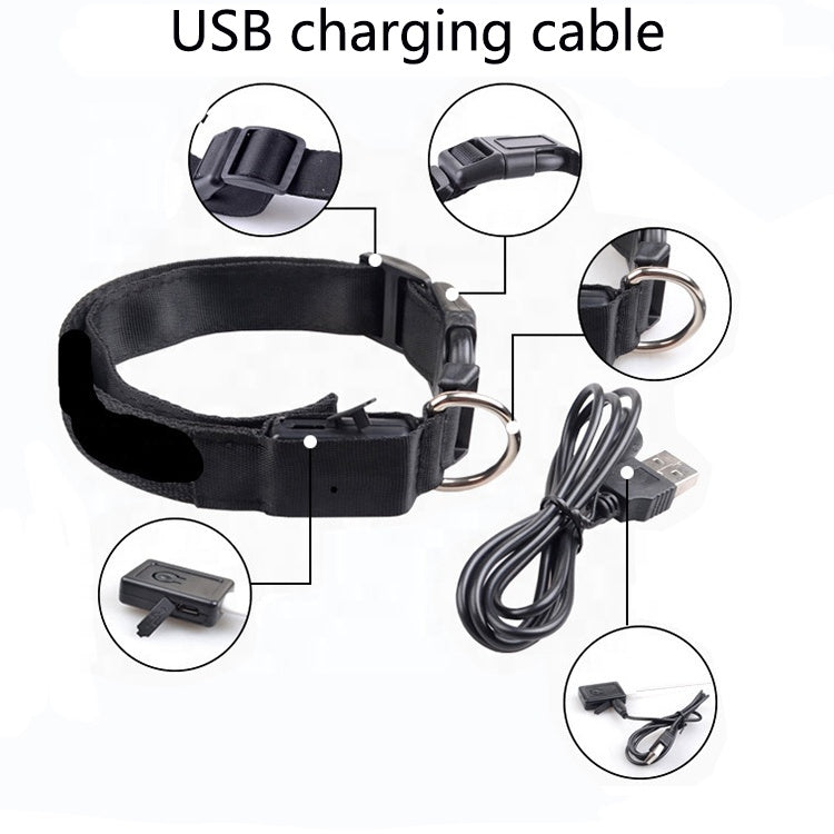 USB Rechargeable LED Dog Collar – High Visibility Safety Collar for Night Walks (Adjustable & Waterproof Design)