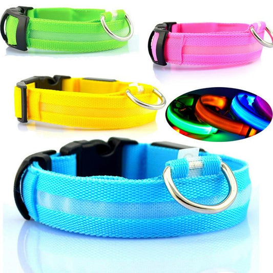 USB Rechargeable LED Dog Collar – High Visibility Safety Collar for Night Walks (Adjustable & Waterproof Design)